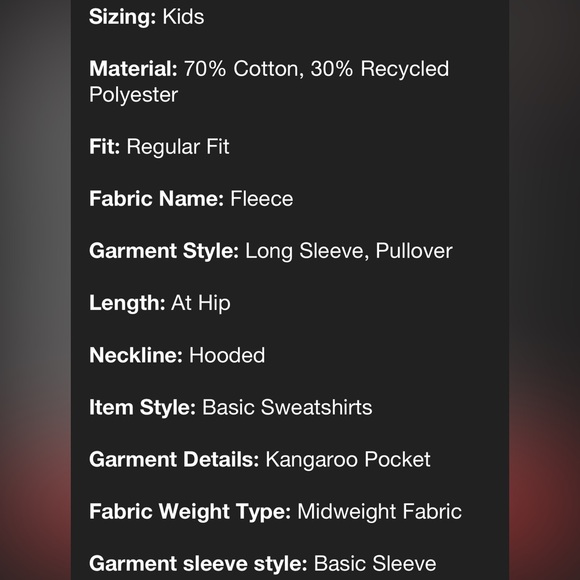 NWT Champion Signature Fleece Pullover Hoodie, Large - Picture 8 of 12